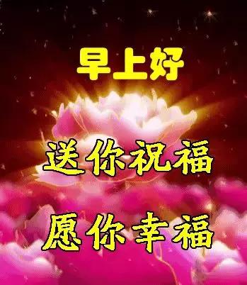 问好表情包｜我喜欢你，像日月轮流交替，不理朝夕