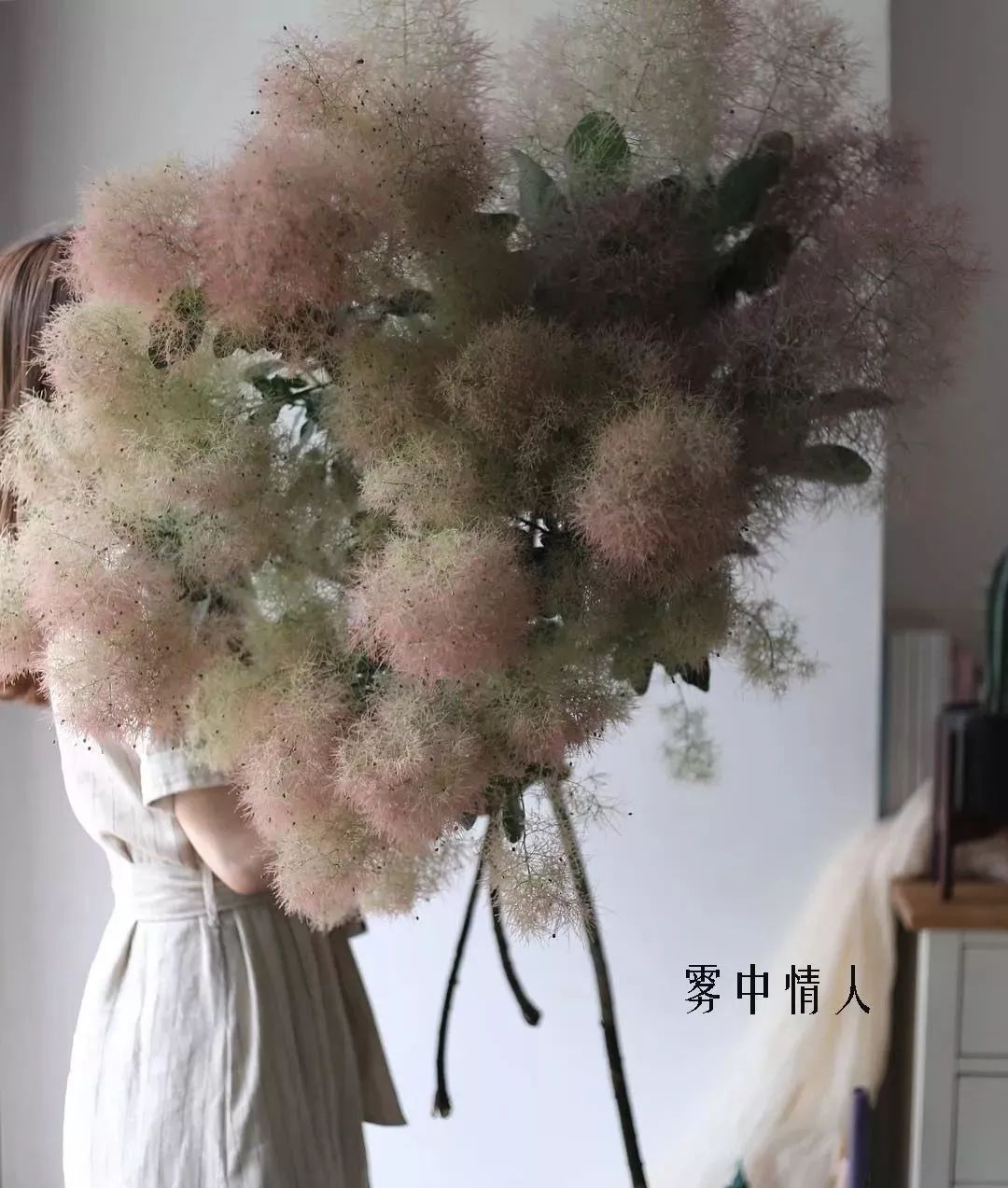 花店里同款的两种不同价格的花材,花店最容易被顾客误解的几种花材