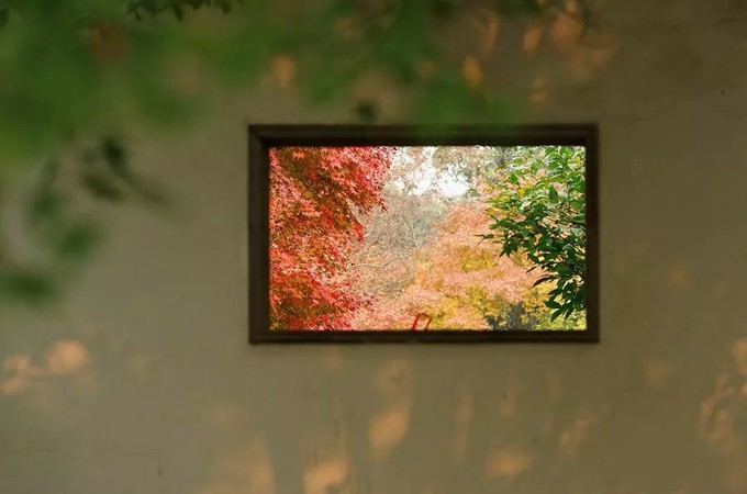 上海景点交通攻略,上海公交车旅游攻略