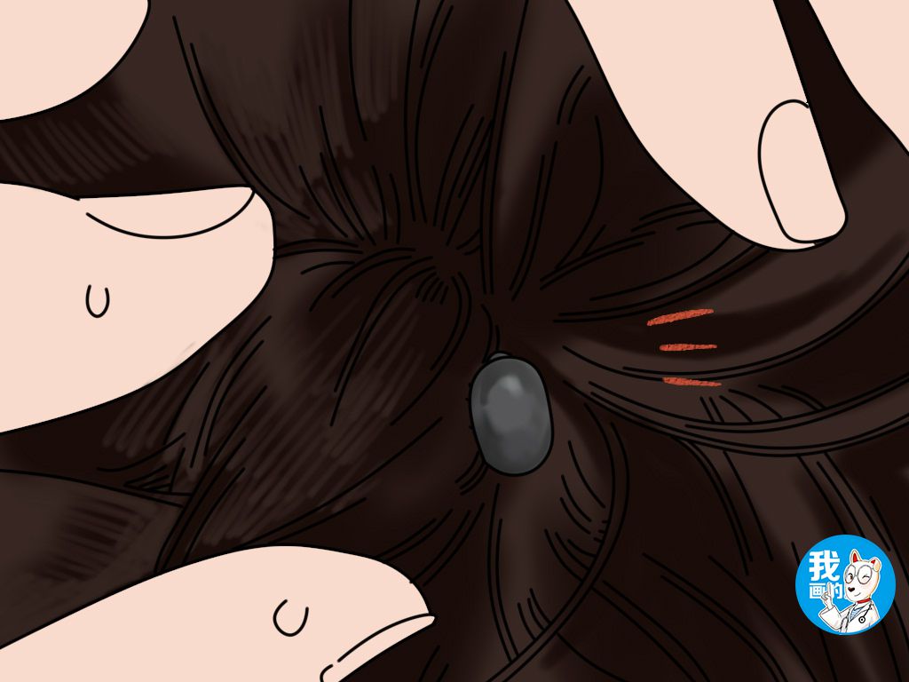 狗狗耳朵上有硬疙瘩怎么回事,狗狗耳朵有硬块是怎么回事