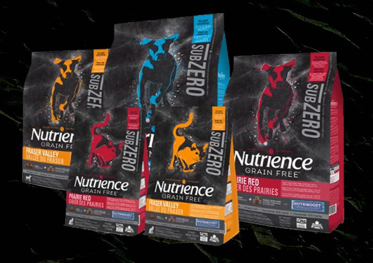 萨摩耶专用狗粮哪个牌子好吃,萨摩耶狗粮哪个牌子最好吃