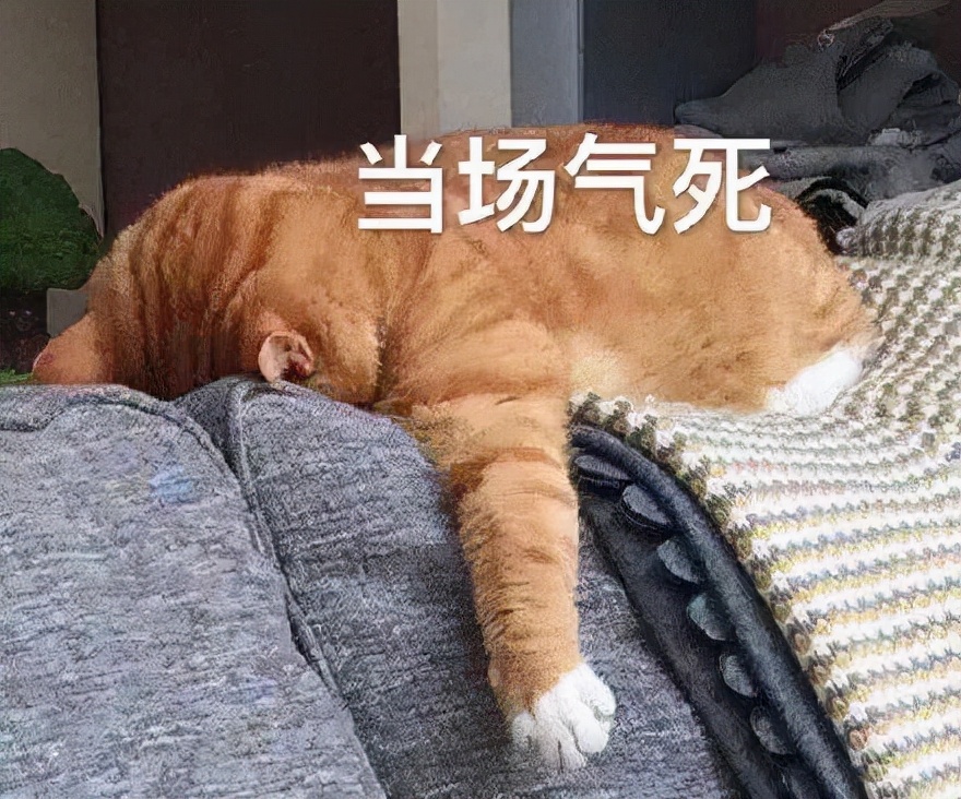 mac城市限定,mac城市限定口红小样