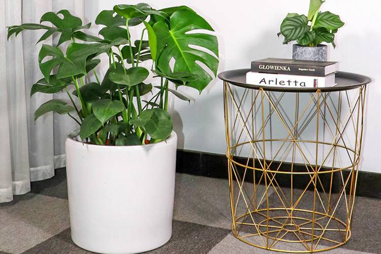 空调房保湿,空调房保湿原来如此简单