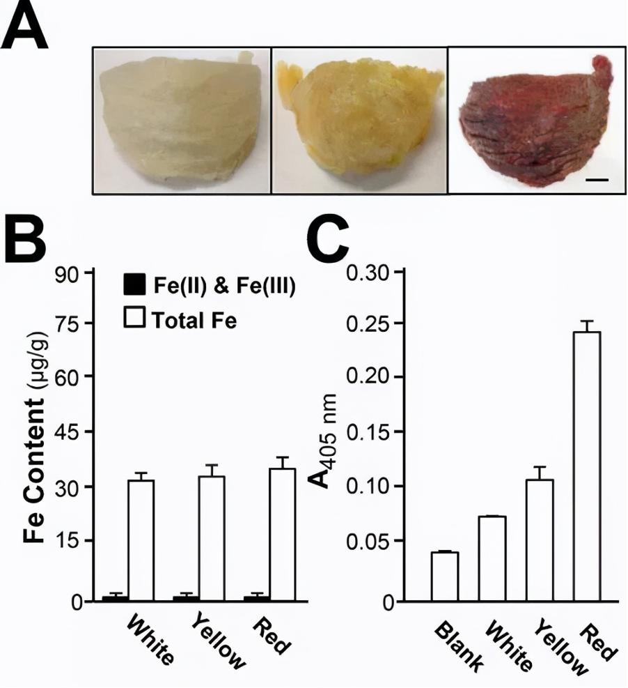 燕窝有什么功效与作用和禁忌,燕窝是不是被夸大了功效