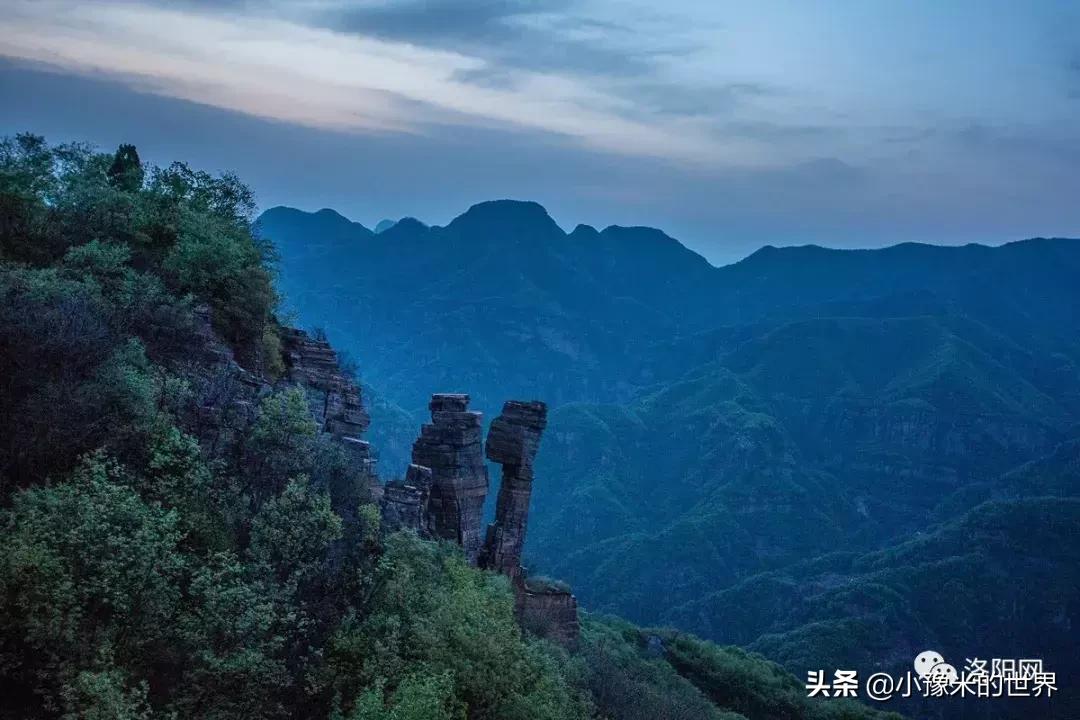 河南洛阳发布最新通知,洛阳牡丹花会向全世界发出邀请