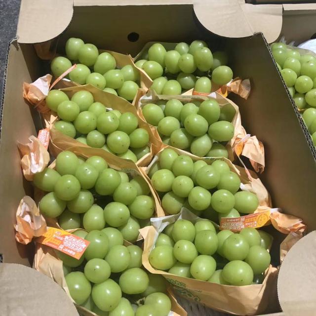 深圳什么蛋糕品牌最好,黑天鹅蛋糕深圳店在哪里