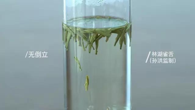 会倒立的才是好绿茶？我们给你做了这个实验