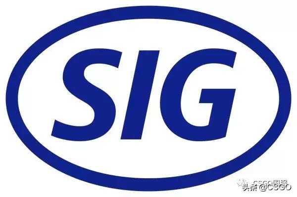 西格绍尔步枪sg553,西格绍尔热门枪型