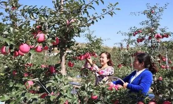 靠山吃山靠水吃水怎么回事,靠山吃山靠水吃水哪里都有