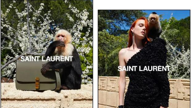 lv路易威登经典老花包,2019年ysl包包最火的款式