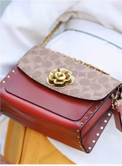 蔻驰包包哪几个款值得入手,蔻驰包包哪几款是经典款