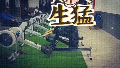 中国皮划艇队划船机,皮艇划船机正确姿势