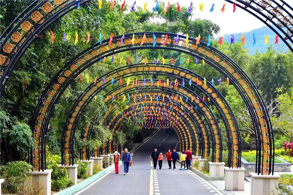 郑州春节周边景区免费景点大全,春节赏花的好去处