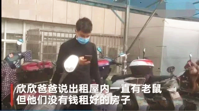 孩子被老鼠啃食原因是忘了擦嘴,婴儿被老鼠啃食事件