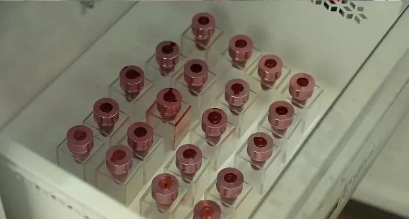 武大恋爱课央视点评,爱情课武大