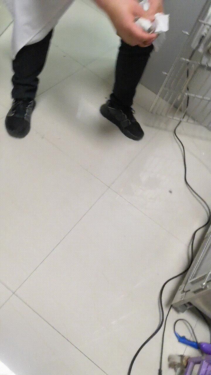 过来人告诉几种方式养猫省钱省心,养猫经验分享系列