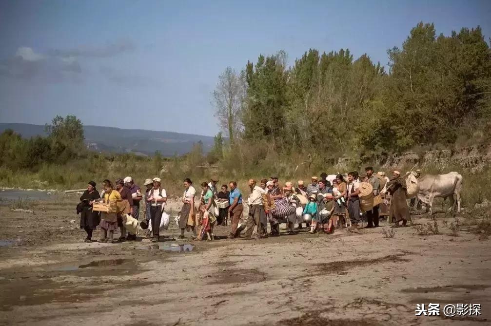 今年必看的十部电影推荐2019,用一部电影告别2020年