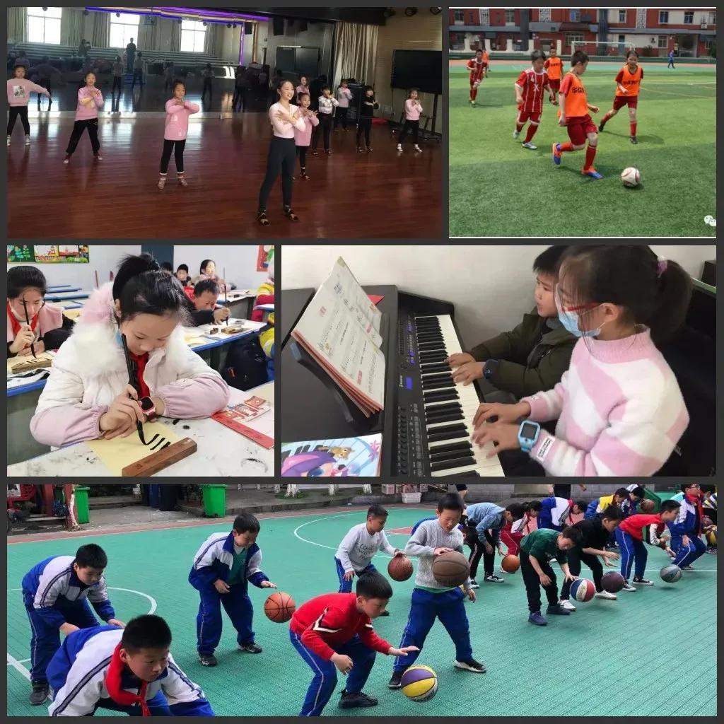 让艺术之花绽放光彩,让健康之花在心底绽放作文