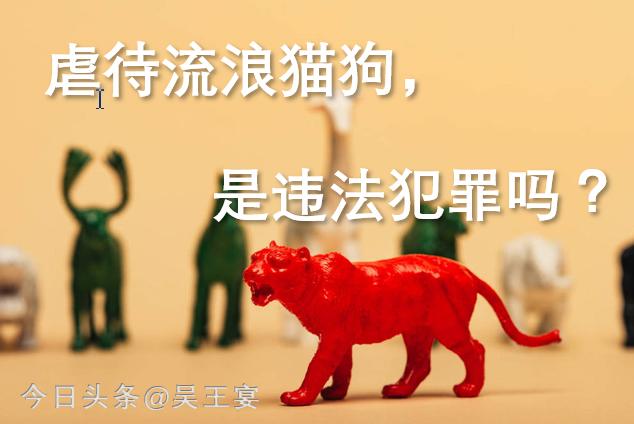 中国虐待流浪猫狗违法吗,虐待流浪猫狗算违法犯罪吗