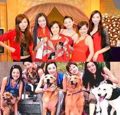 澶鍗栧ぇ璞畢,澶鍗栨埧鏁戞豹灏忚彶