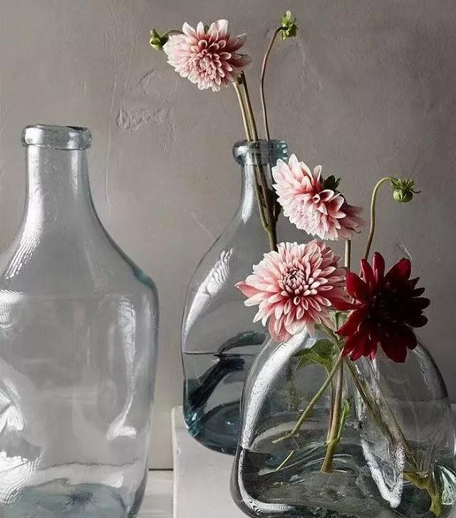 买花的套路和策略,买花的三个陷阱