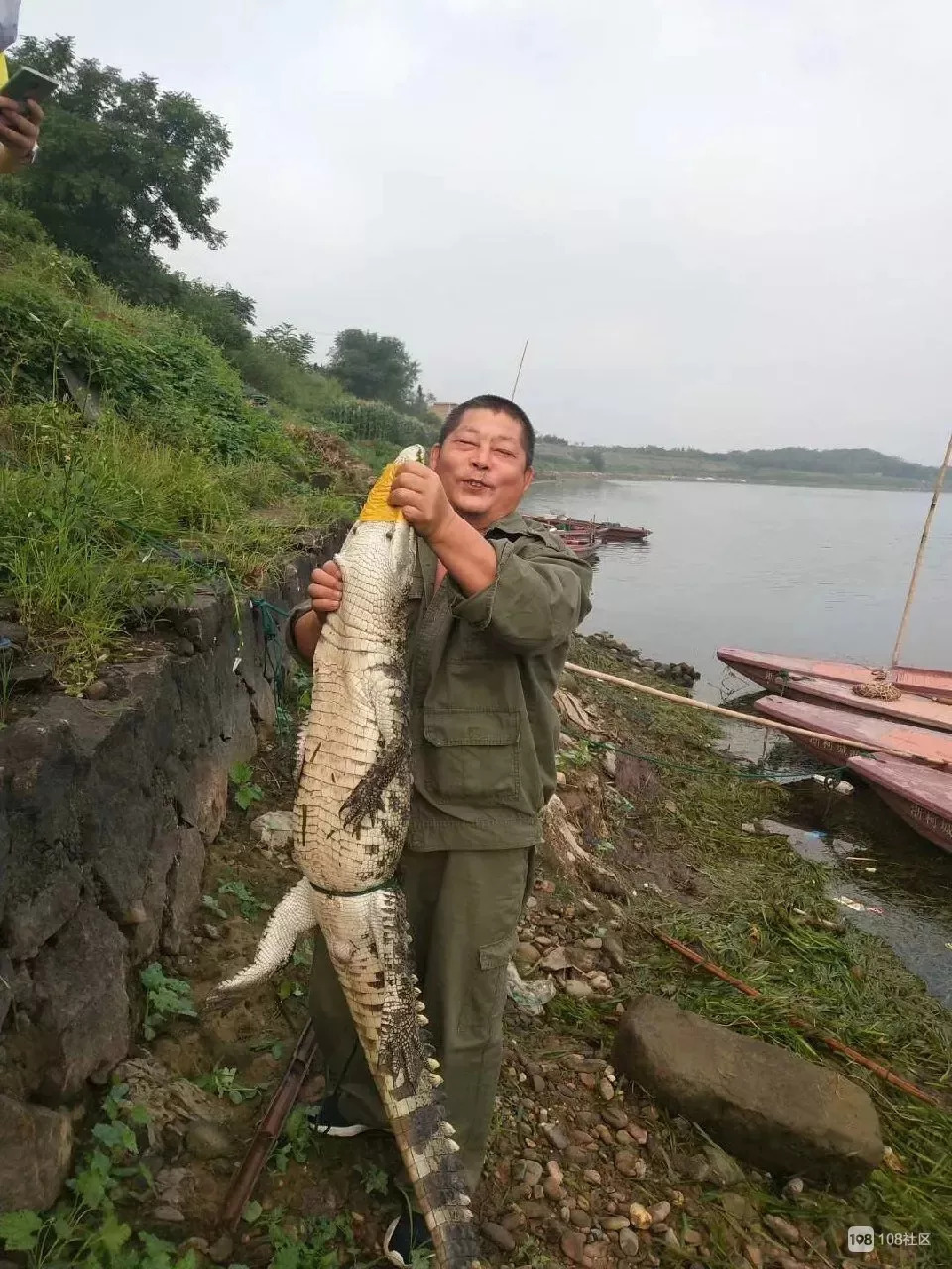 野钓碰到鳄鱼真实视频,钓鱼时碰见鳄鱼恐怖瞬间