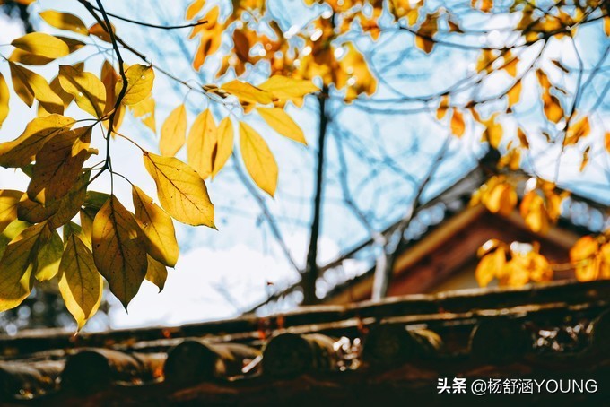 隐匿于城市的世外桃源,隐藏在深山中的世外桃源