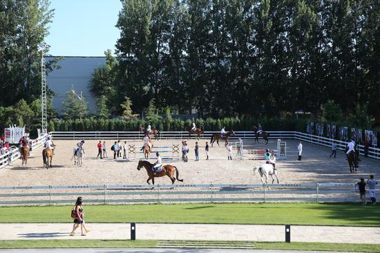 孩子学骑马锻炼哪方面,家长为什么送孩子学骑马