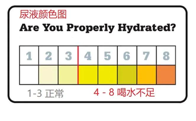 四十岁如何进行脑力训练,中年脑力训练