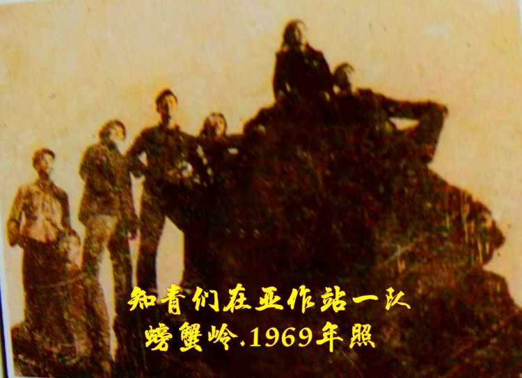 难以释怀的知青情结,60年代的知青情结