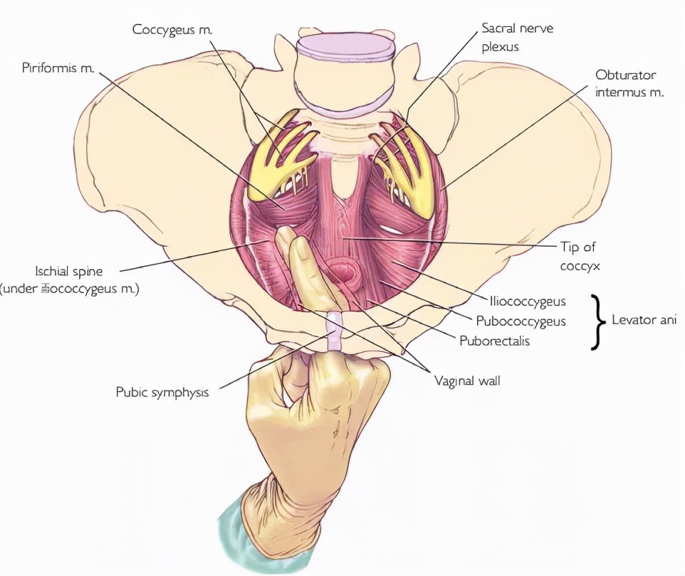 吃了妇科炎症药小腹不舒服,吃了治盆腔炎的药但是还是疼