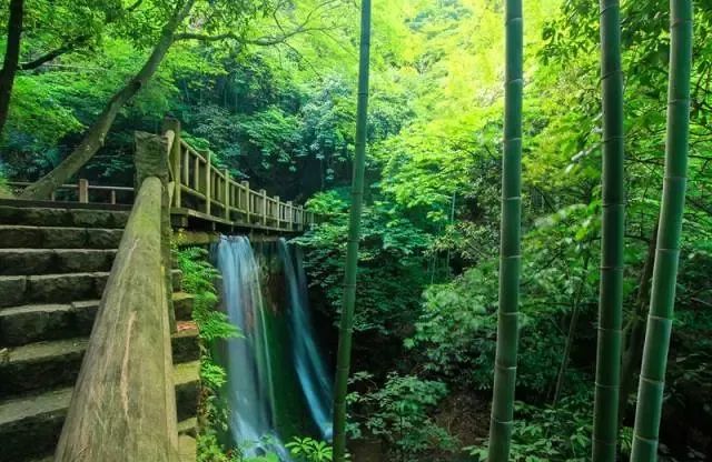 走进十大名山之天目山,松江这五座山你攀登过几处