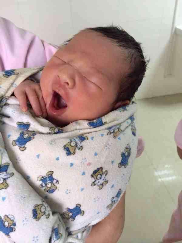 四眼看西游：镇元子的心机巧妙，利用人参果树扩大了五庄观的招生