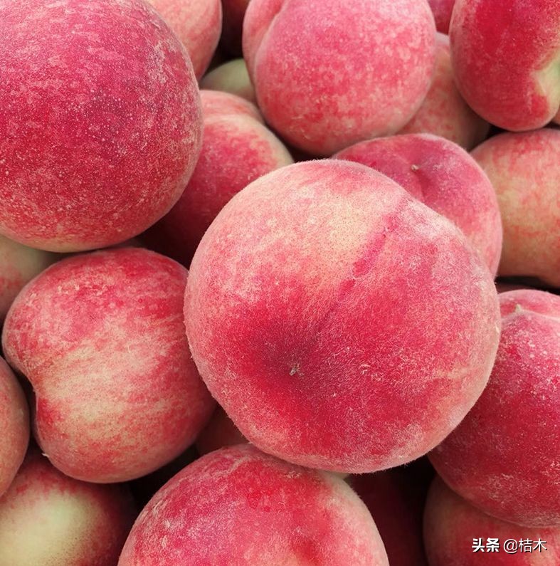 一口就爆汁！陕西突围水蜜桃成熟了，真正的自然熟，桃园现摘现发