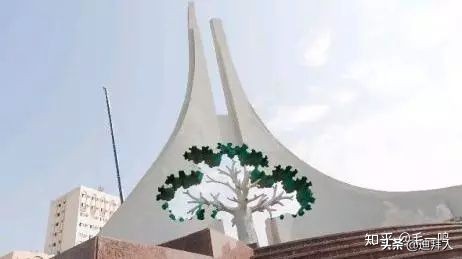 迪拜种植一棵树的成本,在迪拜种一棵树一年的成本