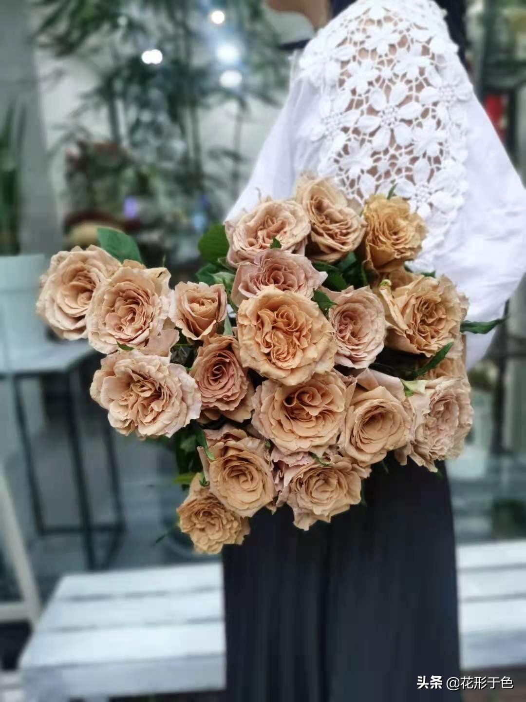 玫瑰品种品鉴,玫瑰花品鉴