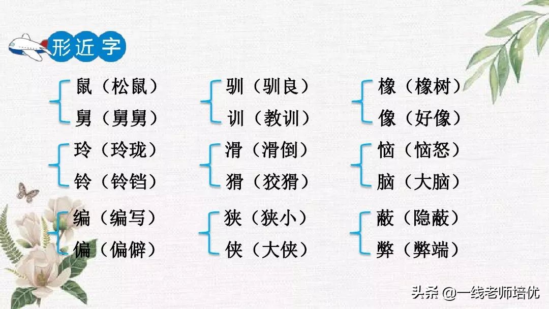 语文五年级上册第17课松鼠资料,部编版五年级上册第17课松鼠课件