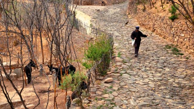 外省人眼中的山西人评价,一个游客眼中的河南