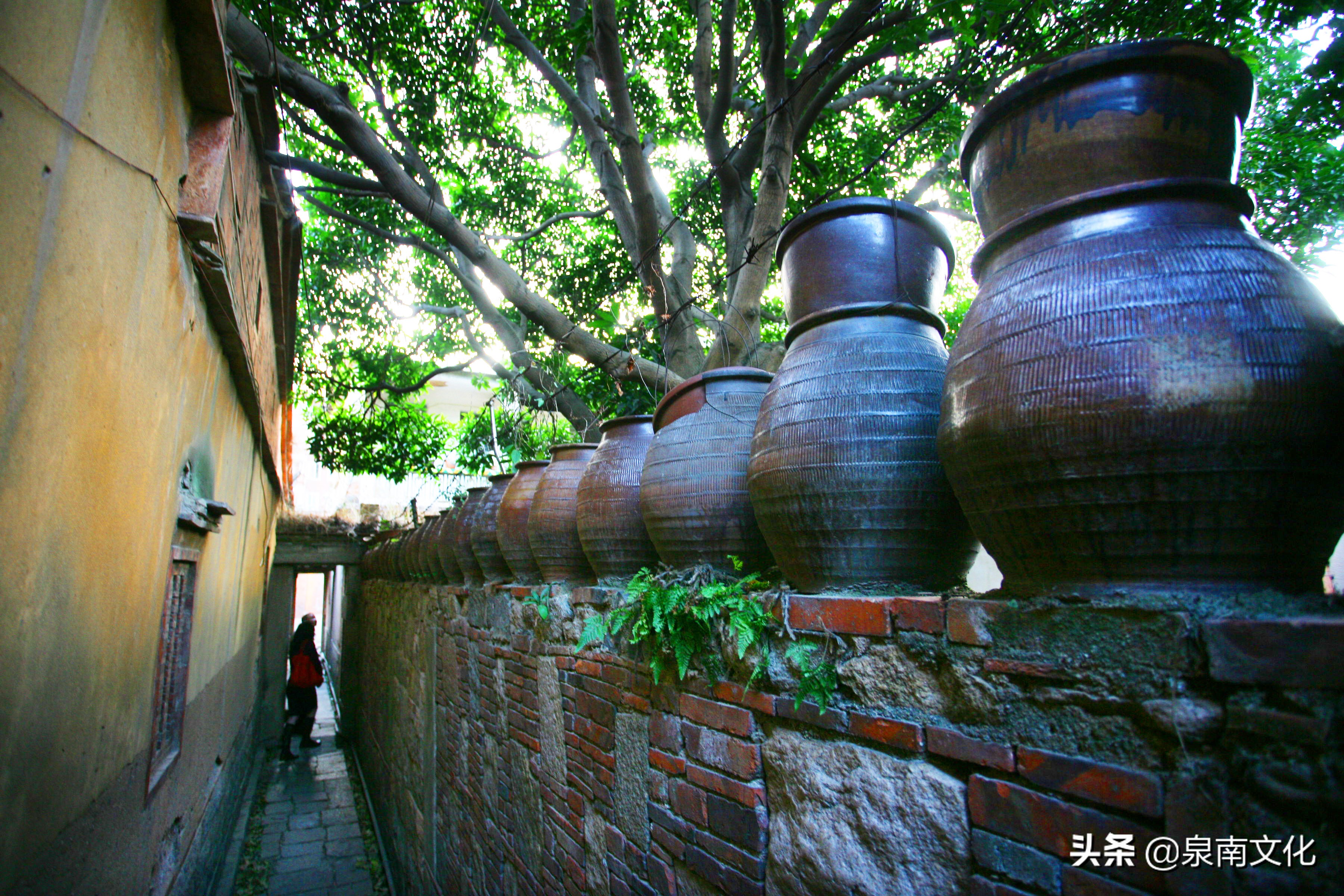 泉州中山路两侧巷道踏勘日记（二）