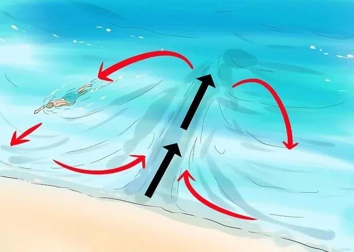 为什么海边比游泳池更危险?因为海里有个“隐藏杀手”