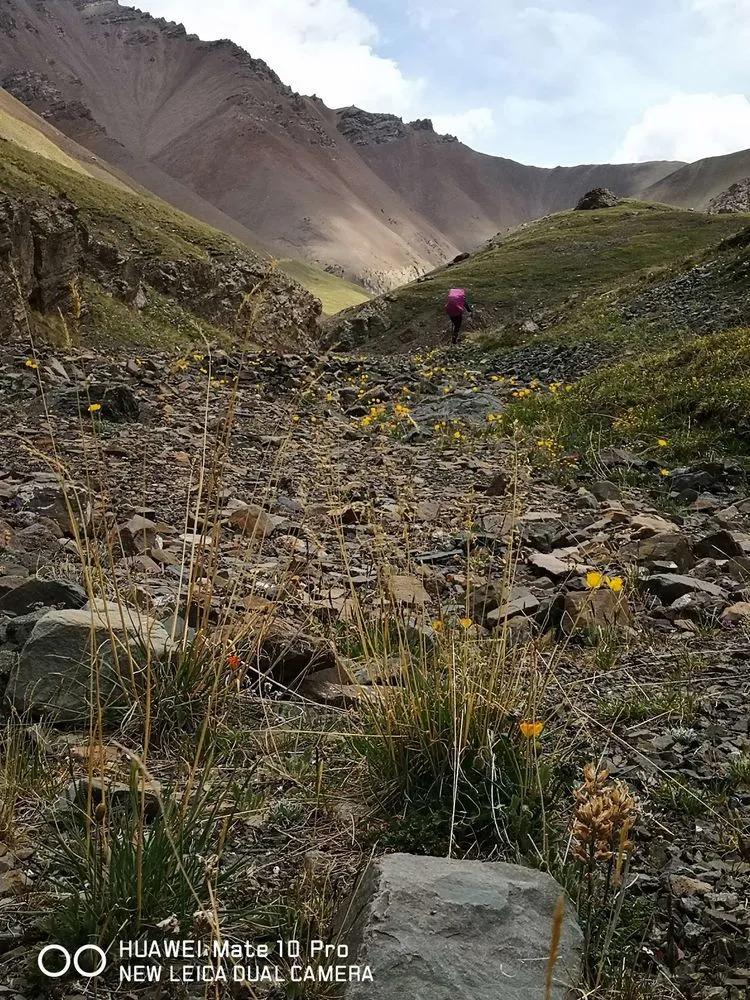 天狼之路是否值得一走,传说中的天狼