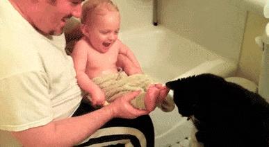 车贴幽默搞笑图片,车贴搞笑的图片