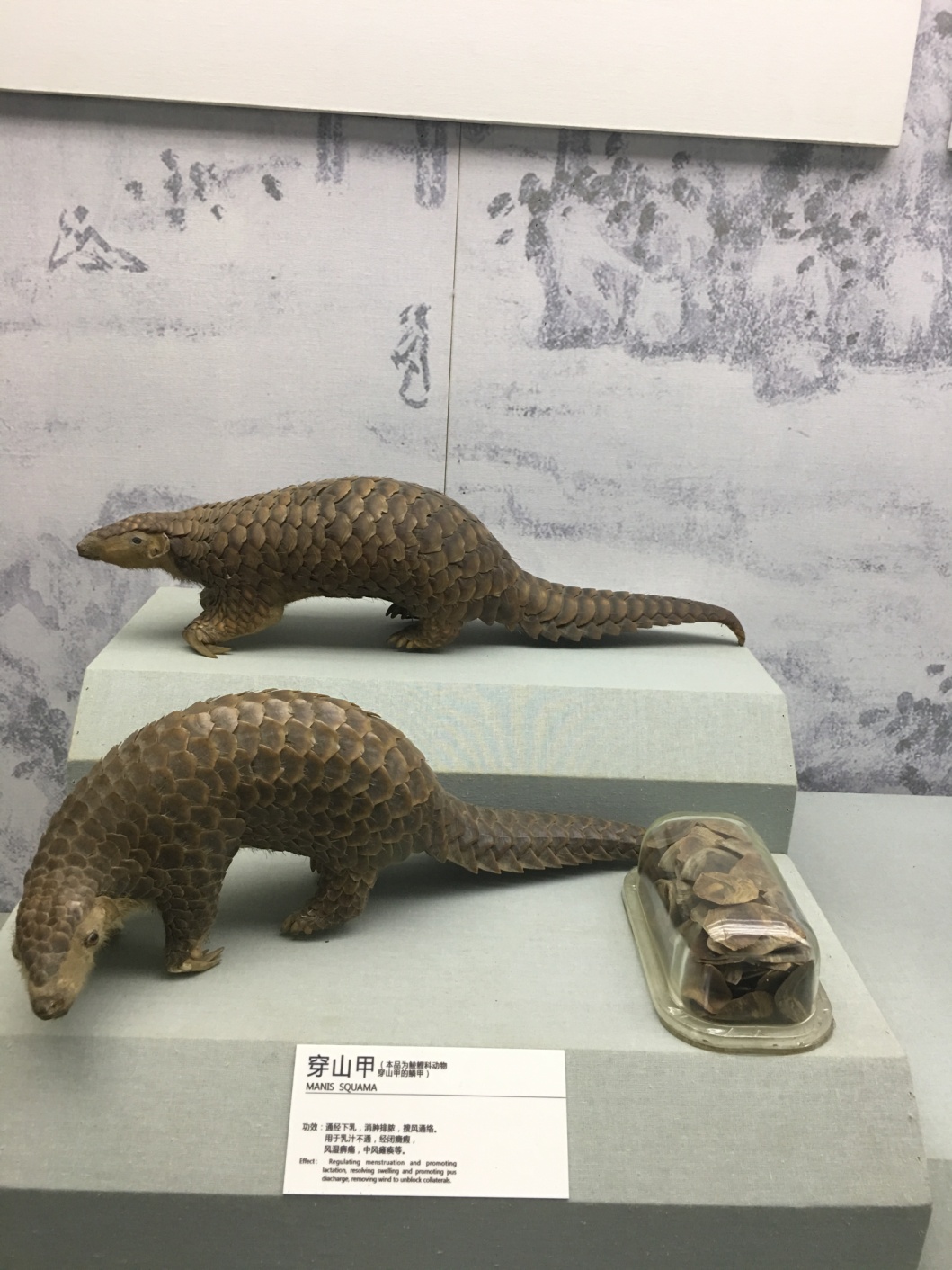 孙思邈的尸体之谜,药王孙思邈一些奇怪理论