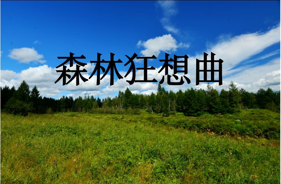 森林狂想曲中间部分奥尔夫音乐,奥尔夫森林狂想曲完整版图谱