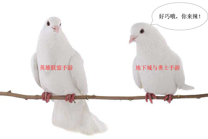 lol手游即将上线正式服的英雄,lol手游将公测今天可以玩了吗