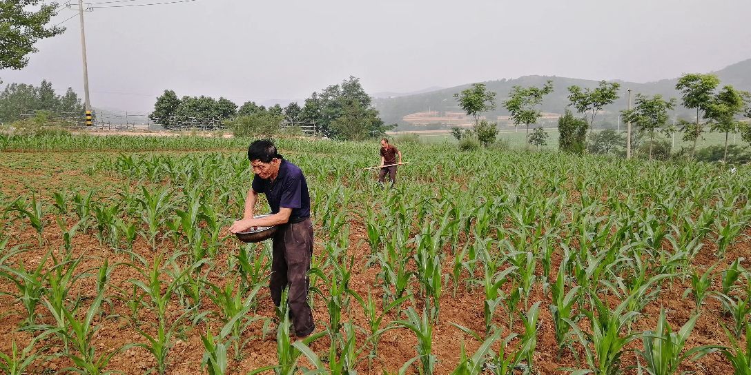 孩子不管什么情况都不能放弃,孩子无论多苦不要泯灭眼中的光