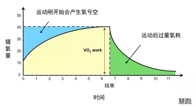 什么是hit运动,高强度hit训练