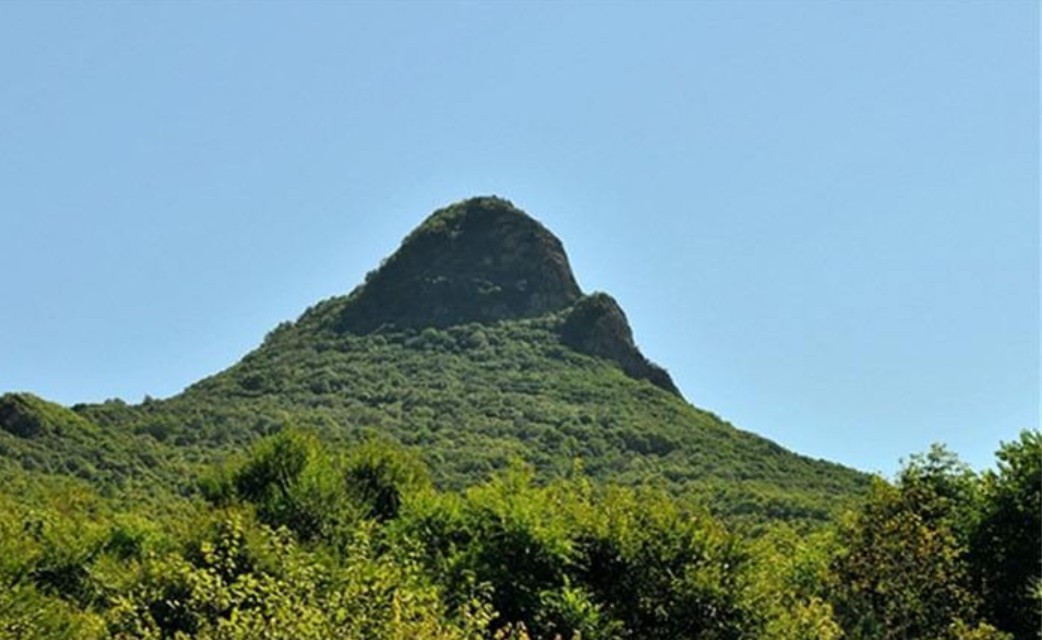 占地面积最大的学校是哪个,中国有几所森林学校