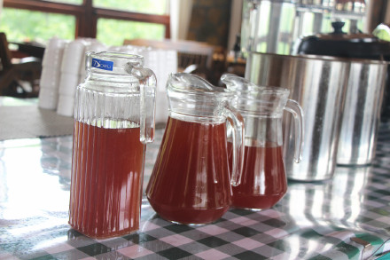 喂萌宠，捡鸡蛋，大自然里快乐多，精诚文化学校暑期班走进大自然