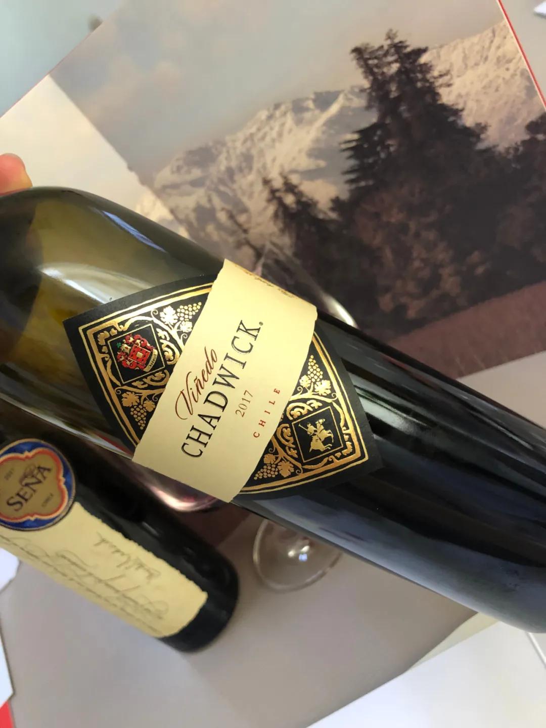 18罗汉酒,智利18罗汉适合收藏的酒